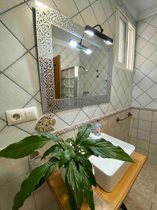 La Casa Del San Anton Villa Nijar Ngoại thất bức ảnh