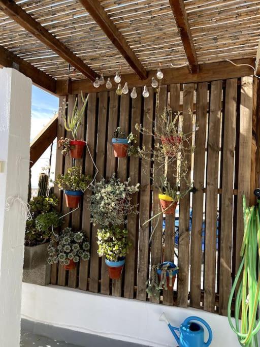 La Casa Del San Anton Villa Nijar Ngoại thất bức ảnh